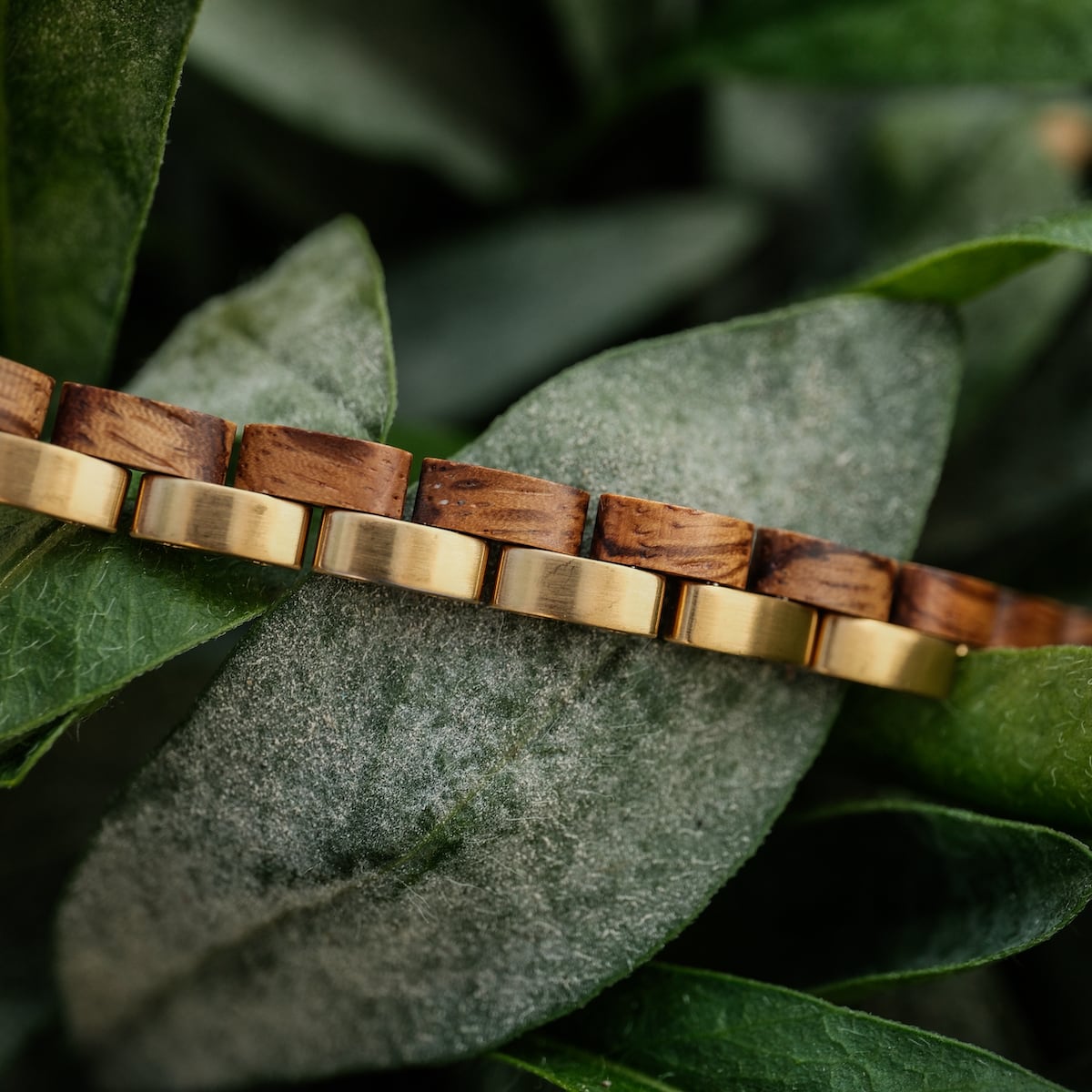 Duet (Zebrawood/Gold) | Holzkern