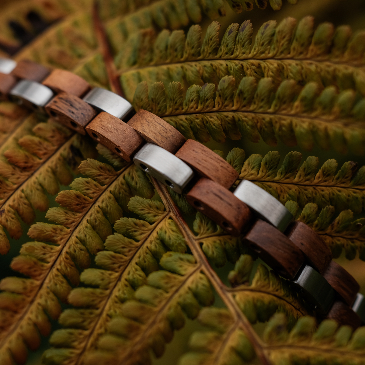 Rondo (Koa/Silver) | Holzkern